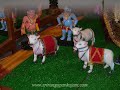 Sri Krishna