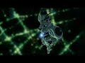 Ultimate Guyver Amv 2