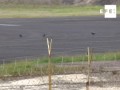 Accidente de TACA sentencia Aeropuerto Toncontín Tegucigalpa