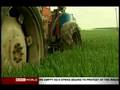 Global Pulse: Biofuel - Another Flawed Policy?