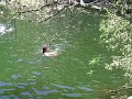 Malibu Creek Jump Malibu Creek Jump