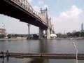 new-york-city-mannha
