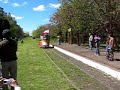 Caravana de zorras Estacion Espora