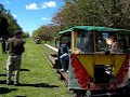 Caravana de zorras Estacion Espora