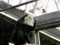 Zoo Barcelona - Demos Casio FH20