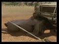 Far Cry 2 Tribute - Stupid Gnu (HQ)