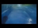 Faxinal - 3 amigos descem o tobog�