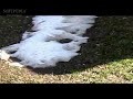 Video recording sample, outside, daylight