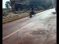 Patinamemtø.mp4 Pika Pau e Compania só zuando kkkk