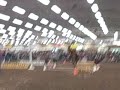 Extreme Cowboy Race