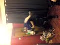 MOV00280