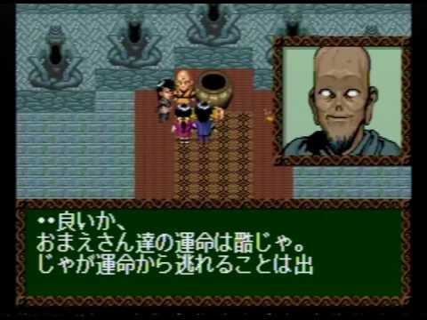 動画