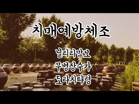 [치매예방체조] 3곡(8분) 논스톱 - 집콕운동으로 안…