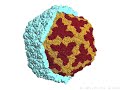 Plane Tilings and Virus Symmetries