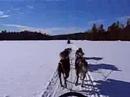 Sled Cruising on Frozen Lake 3