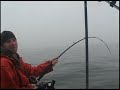 70lb halibut - Vancouver Island