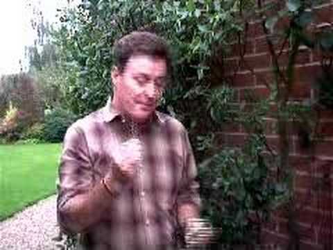 Hoggywart - Martin Fish from Garden News demonstrates a new product called Soft-Tie.