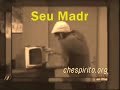 Seu Madruga - Sua história rica em humor