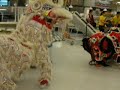 Lion dance at East Hyvee