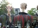 Buren wint Fruitcorso Tiel 2008