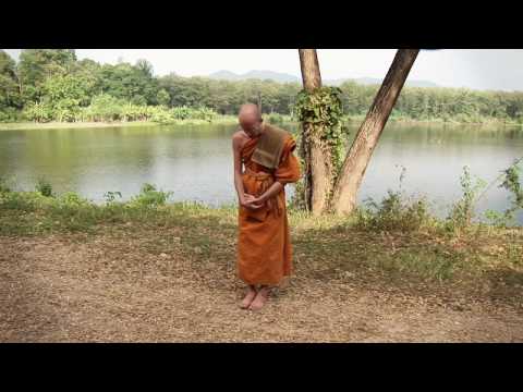Videos: Walking Meditaton 0 Videos: Walking Meditaton
