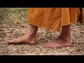 How To Meditate III - Walking Meditation 