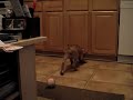 Maggie