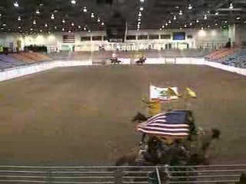 California Rangers Senior Team Short ...