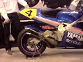Whitham and Mackenzie YZR500