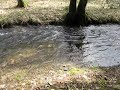 Een Ardeense rivier