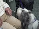 Pet Therapy at Greenspring