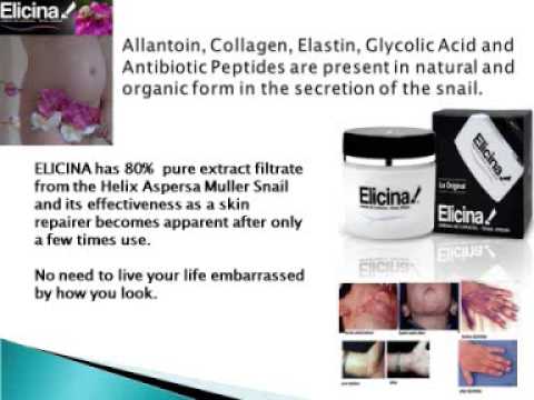Cosmetic wholesale retail distributors of Snail Cream Elicina Cosmetic wholesale retail distributors of Snail Cream Elicina
