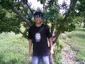 hasan şahin tahtacı mengisi