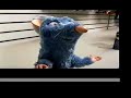 Ratatouille\