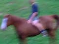 horse-ride.html