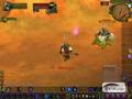 Body and Heart- bear form quest - druid WoW