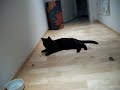 Mein Feind, die Papierkugel