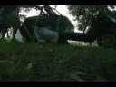videos de owned by a golf cart