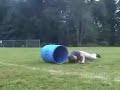This Is Bill: Barrel Jumps