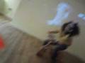 MOV00028.MP4
