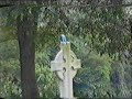 kranji cemetery Singapore