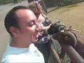 York's Wild Kingdom