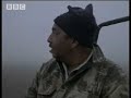 Poachers and tiger murder in the Emerald Forest, India - BBC wildlife