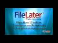 federal income extension from, online