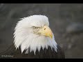 peaceful-easy-feeling.html