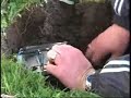 Mole Traps