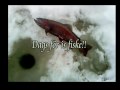 Is fiske med www.vastkustsilver.se regnbåge