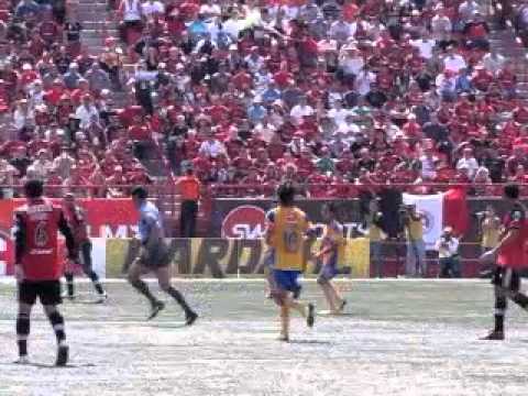 Tijuana vs Tigres de Nuevo Le&oacute;n en el estadio Caliente