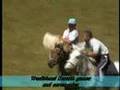 Kazakstan kazak, QazaQ tradition and traditional games