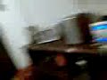 LUE CATA MARTI